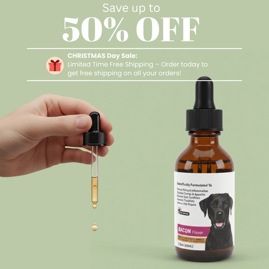 Essential Omega 6 Plus