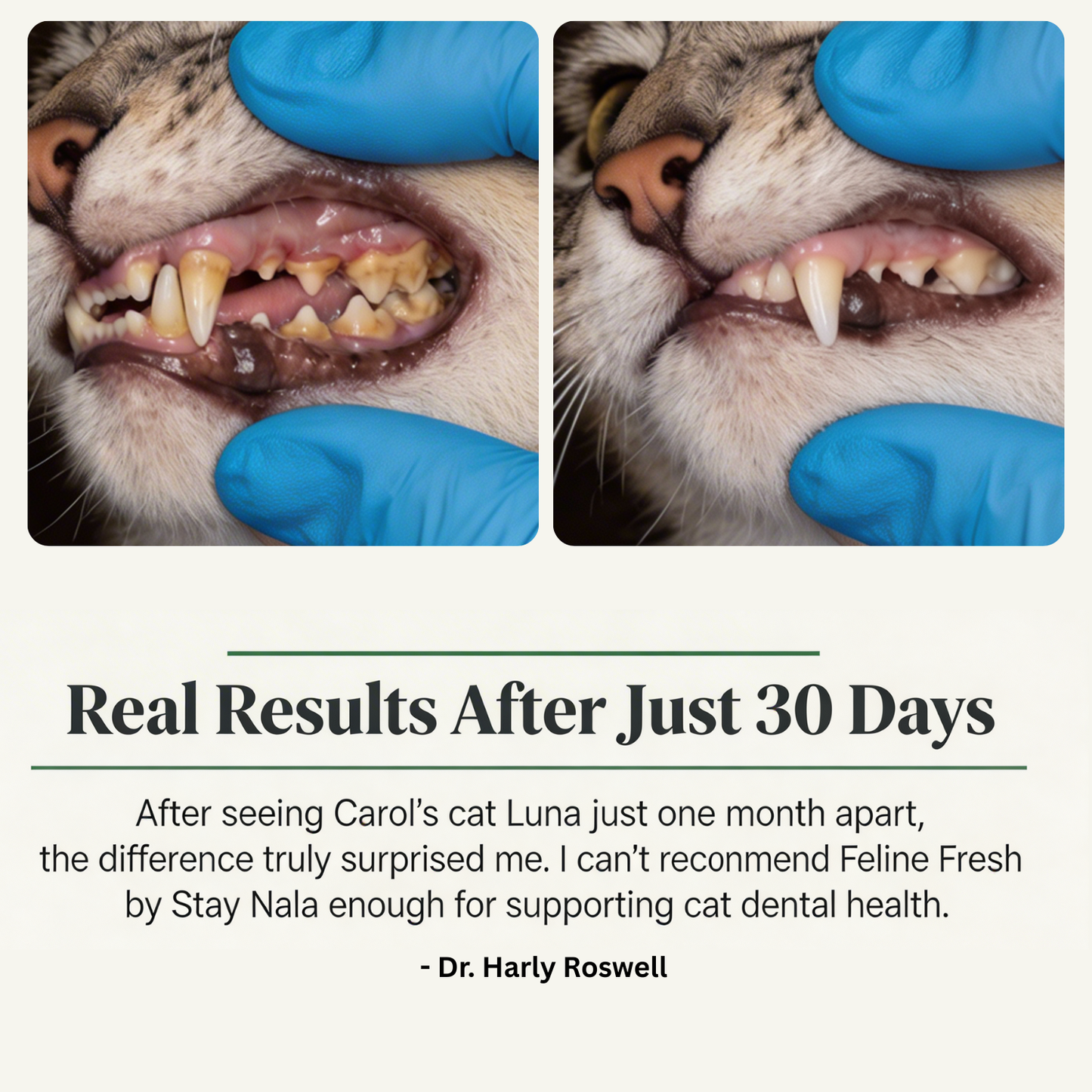 Feline Fresh — Daily Oral Care Powder For Cats