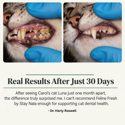 Feline Fresh — Daily Oral Care Powder For Cats