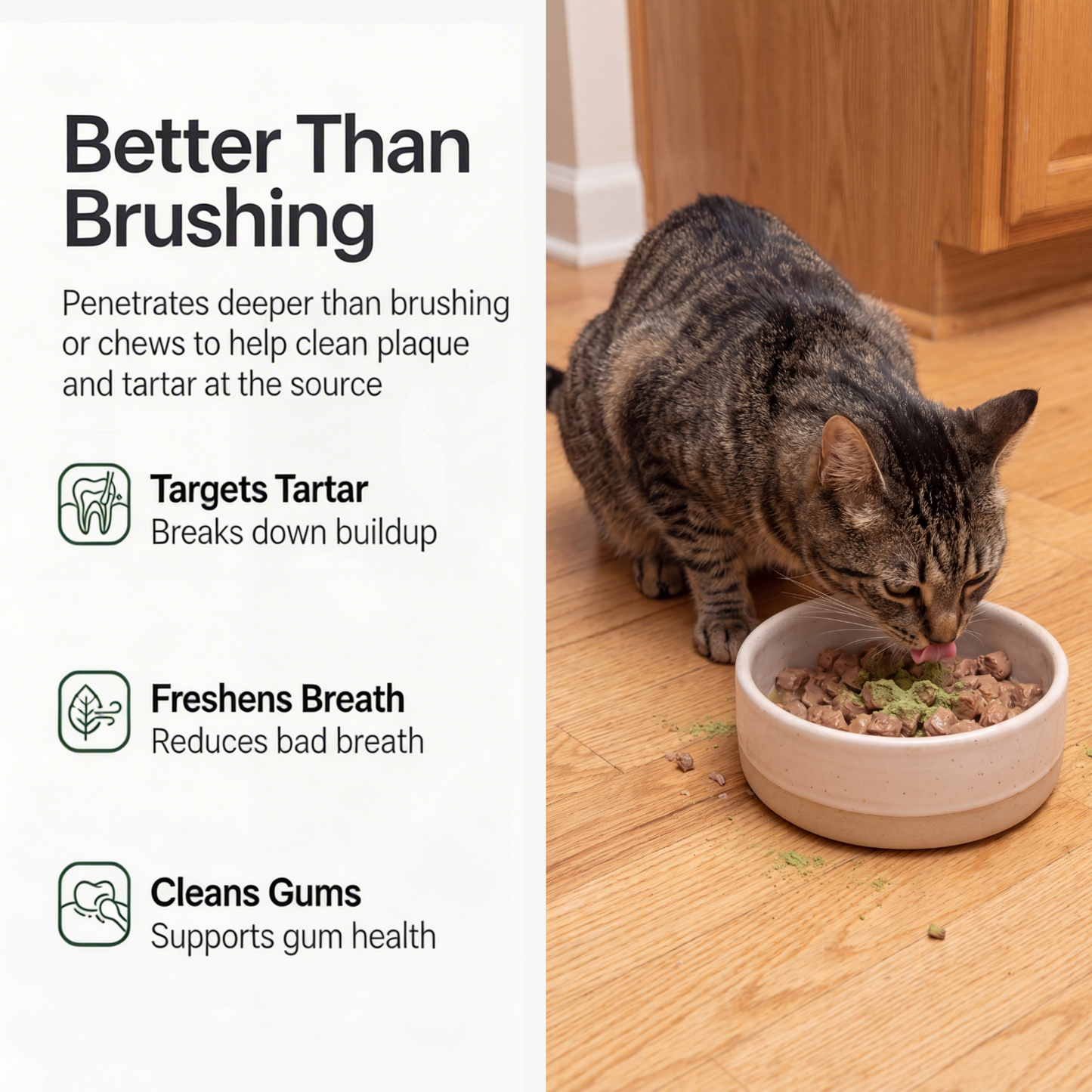 Feline Fresh — Daily Oral Care Powder For Cats