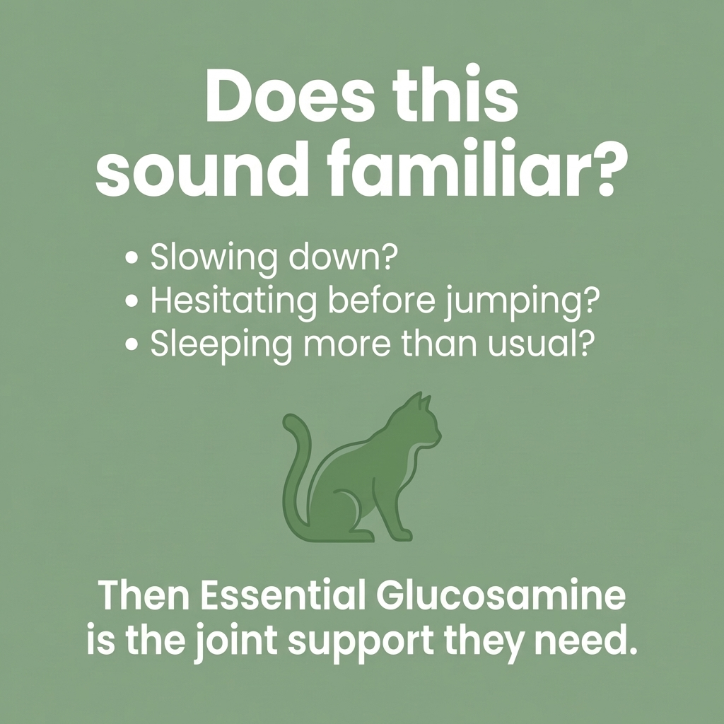 Essential Glucosamine Joint Support Powder for Cats