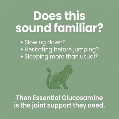 Essential Glucosamine Joint Support Powder for Cats