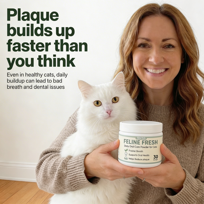 Feline Fresh — Daily Oral Care Powder For Cats