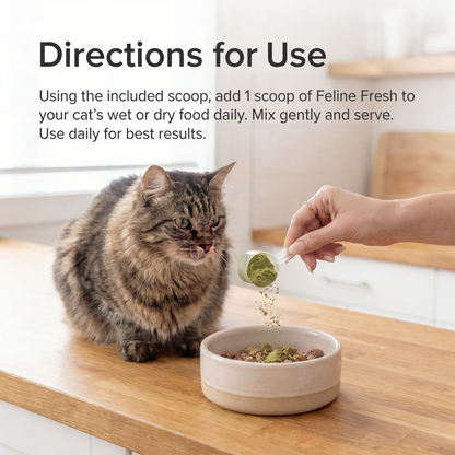 Feline Fresh — Daily Oral Care Powder For Cats