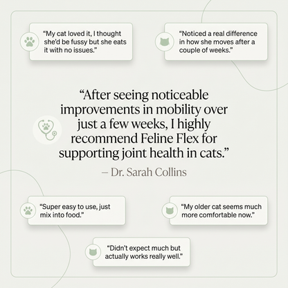 Feline Flex — Daily Joint Care Powder For Cats
