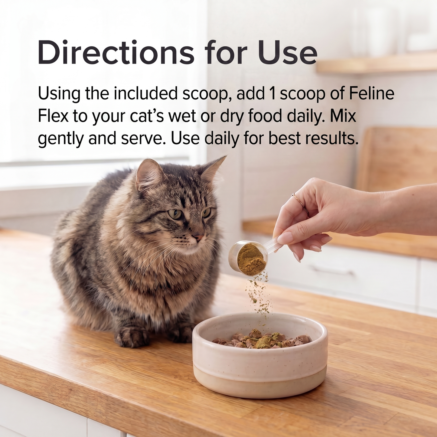 Feline Flex — Daily Joint Care Powder For Cats