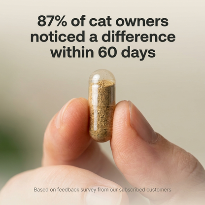 Purrbiotics